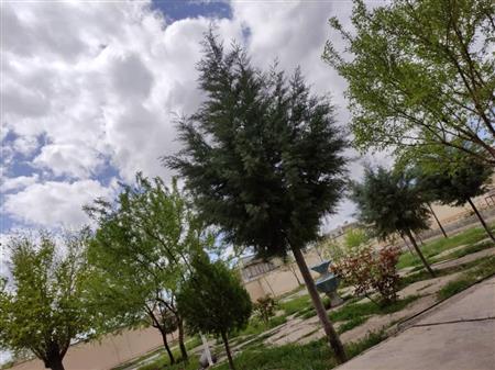 محوطه کتابخانه